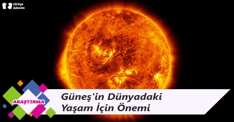 Güneş'in Dünyadaki Yaşam İçin Önemi