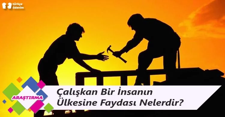 Çalışkan Bir İnsanın Ülkesine Faydası Nelerdir?