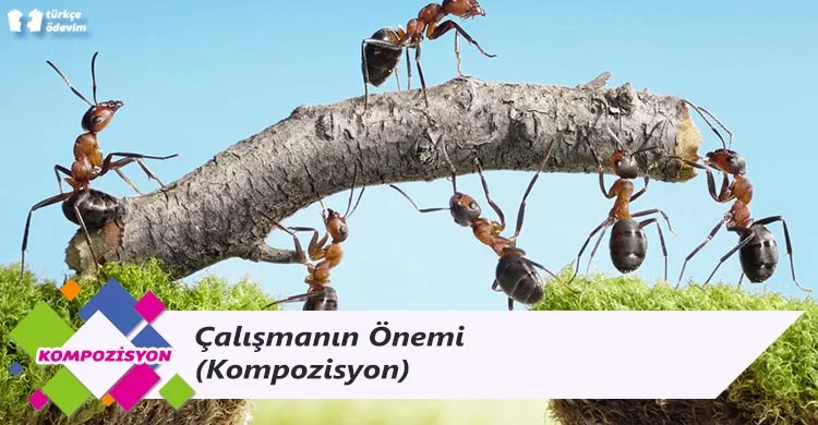 Çalışmanın Önemi - Kompozisyon