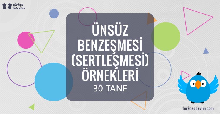 Ünsüz Benzeşmesi (Ünsüz Sertleşmesi) Örnekleri (30 Tane) | Türkçe Ödevim