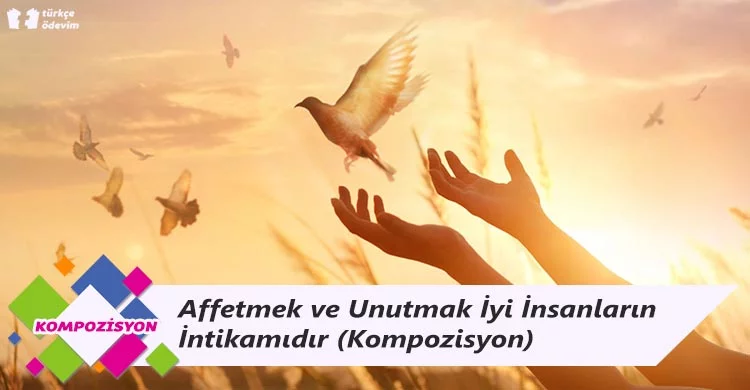 Affetmek ve Unutmak İyi İnsanların İntikamıdır - Kompozisyon