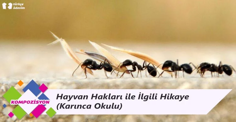 Hayvan Hakları ile İlgili Hikaye