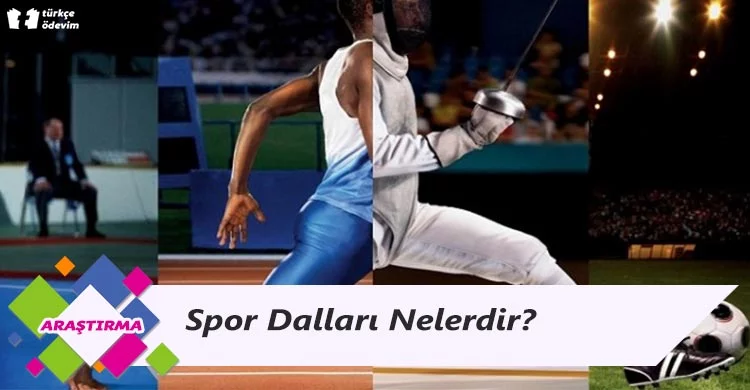 Spor Dalları Nelerdir?