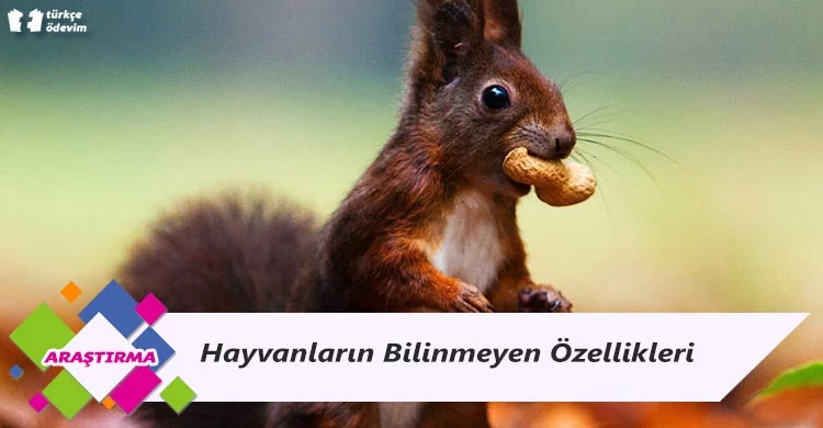 Hayvanların Bilinmeyen Özellikleri