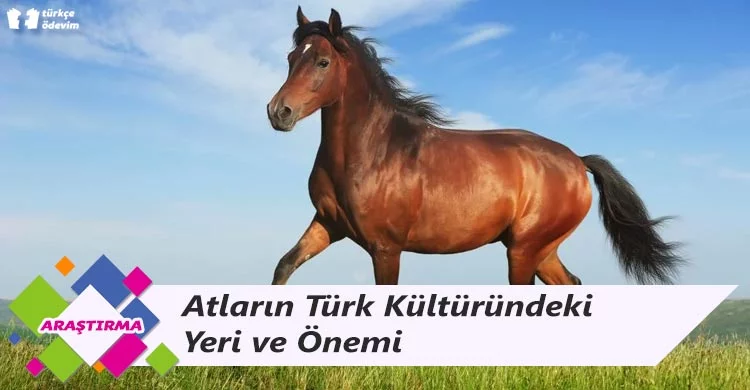 Atların Türk Kültüründeki Yeri ve Önemi