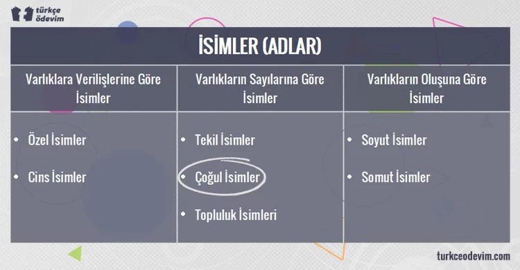 Çoğul İsimlere Örnekler