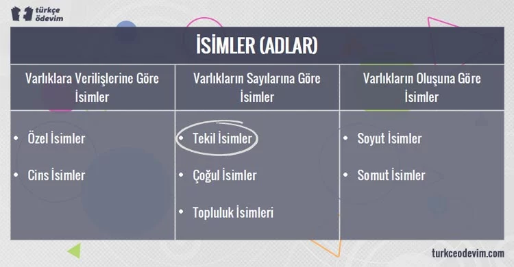 Tekil İsimlere Örnekler