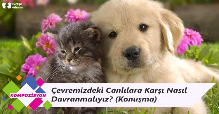 Çevremizdeki Canlılara Karşı Nasıl Davranmalıyız? - Konuşma