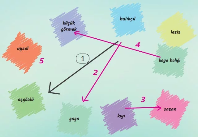 Balıkçıl Dinleme Metni Cevapları - İlişkilendirme