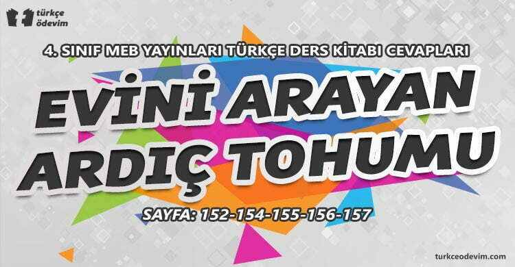 Evini Arayan Ardıç Tohumu Metni Cevapları - 4. Sınıf Türkçe MEB Yayınları