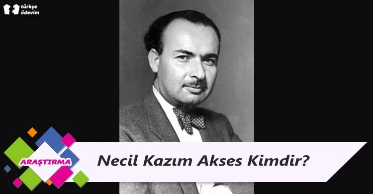 Necil Kazım Akses Kimdir?