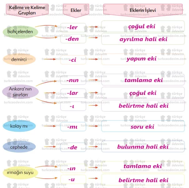 Anadolu İmecesi Metni Cevapları - 6. Sınıf Türkçe Ekoyay Yayıncılık - Ekler