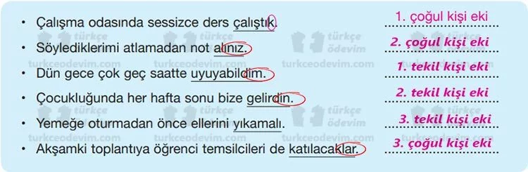 Bayrağımızın Altında Dinleme Metni Cevapları (7. Sınıf Özgün)