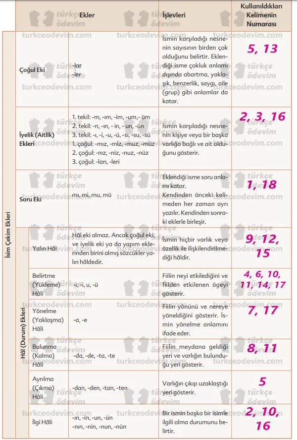 Kuşların Çektiği Kağnı Metni Cevapları - 6. Sınıf Türkçe Ekoyay Yayınları - Çekim Ekleri