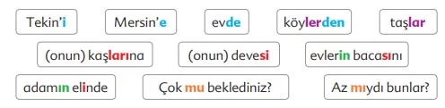 Kuşların Çektiği Kağnı Metni Cevapları - 6. Sınıf Türkçe Ekoyay Yayınları - Ekler