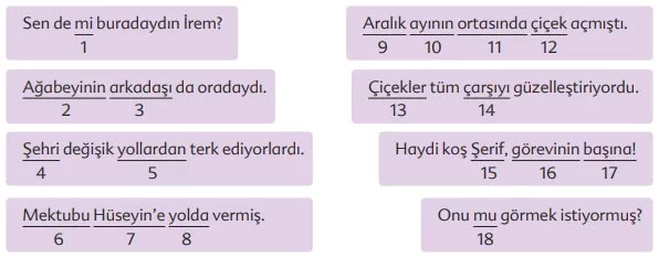 Kuşların Çektiği Kağnı Metni Cevapları - 6. Sınıf Türkçe Ekoyay Yayınları - Numaralı Ekler