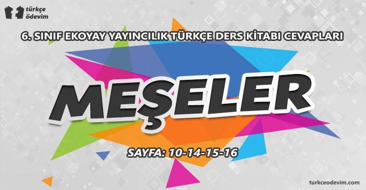 Meşeler Metni Cevapları - 6. Sınıf Türkçe Ekoyay Yayıncılık