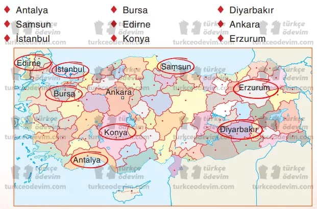 Türkiye'm Metni Cevapları - 3. Sınıf Türkçe Sonuç Yayınları - Harita