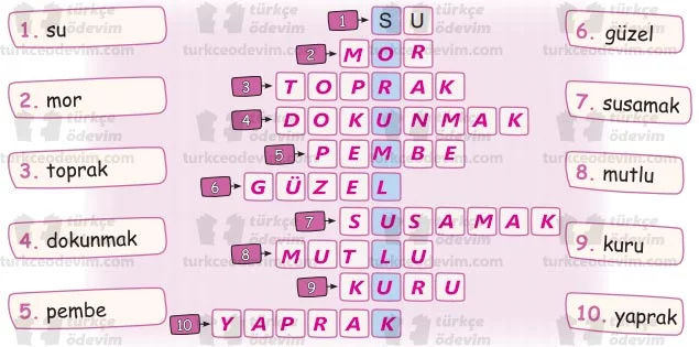 Mor Menekşe Dinleme Metni Cevapları - Sorumluluk