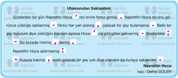 Son Leylek Metni Cevapları - Noktalama İşaretleri