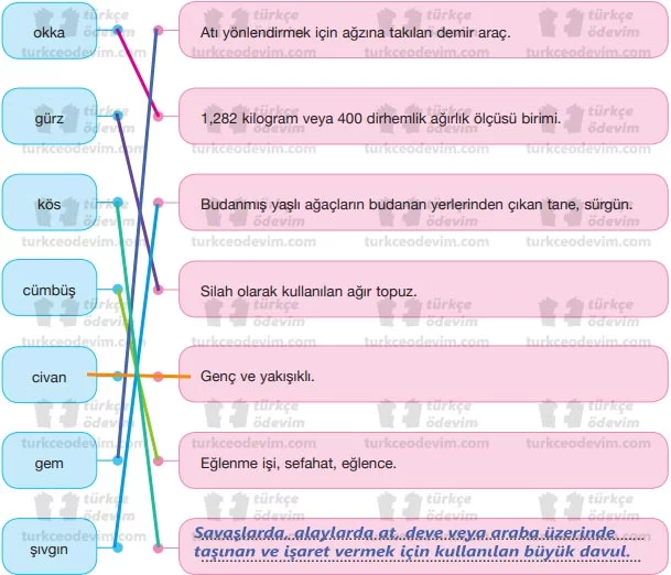 Anadolu Davulu Metni Cevapları - Eşleştirme