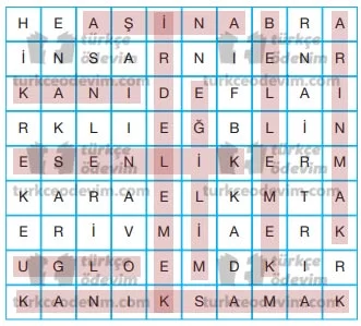 Bazı İnsanlar Metni Cevapları - Bulmaca