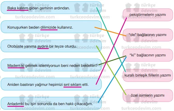 İletişim Becerilerimiz Dinleme Metni Cevapları - Yazım Kuralları