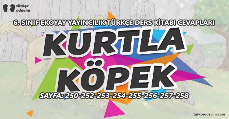 Kurtla Köpek Metni Cevapları - 6. Sınıf Türkçe Ekoyay Yayınları
