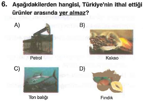 6. Sınıf Sosyal Bilgiler 4. Ünite Testi Çöz | Türkçe Ödevim