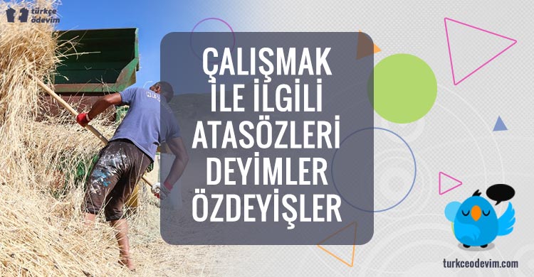Çalışmakla İlgili Atasözleri Deyimler Özlü Sözler Türkçe Ödevim