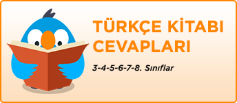 Türkçe Kitabı Cevapları