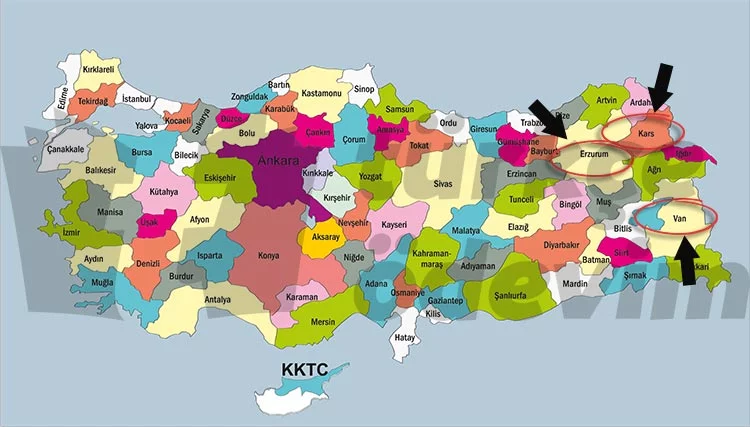 Kastamonulu Şerife Bacı Metni Cevapları - Kars Erzurum Van