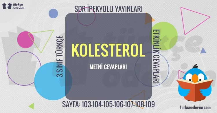 Kolesterol Metni Cevapları - 3. Sınıf Türkçe SDR İpekyolu