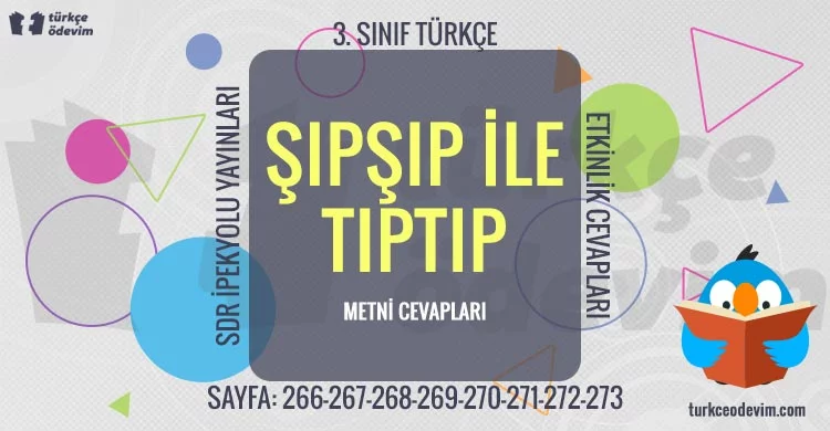 Şıpşıp ile Tıptıp Metni Cevapları - 3. Sınıf Türkçe SDR İpekyolu Yayınları