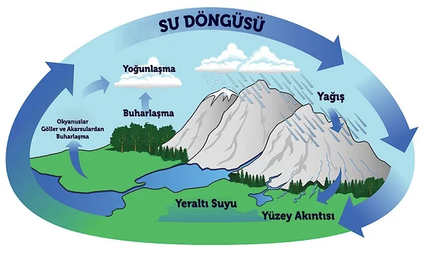 Şıpşıp ile Tıptıp Metni Cevapları - Su Döngüsü