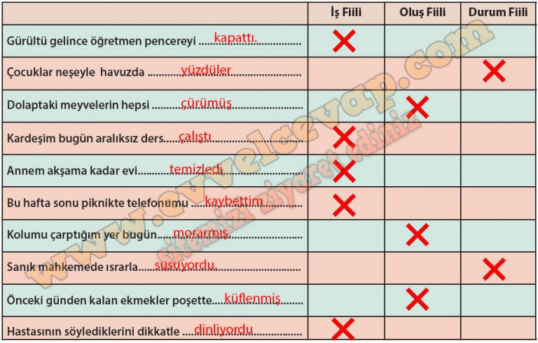 Betül Öğretmen, Sınıfta öğrencilerine "Fiilde Anlam" Konusunu ...