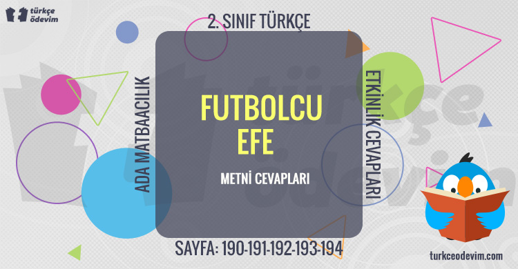 Futbolcu Efe Serbest Okuma Metni Cevapları