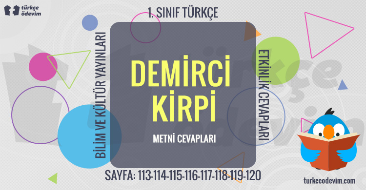 Demirci Kirpi Metni Cevapları (1. Sınıf Türkçe)