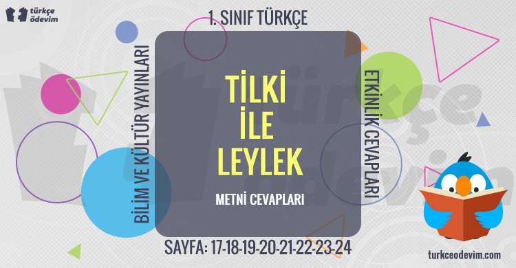 Tilki ile Leylek Metni Cevapları (1. Sınıf Türkçe)