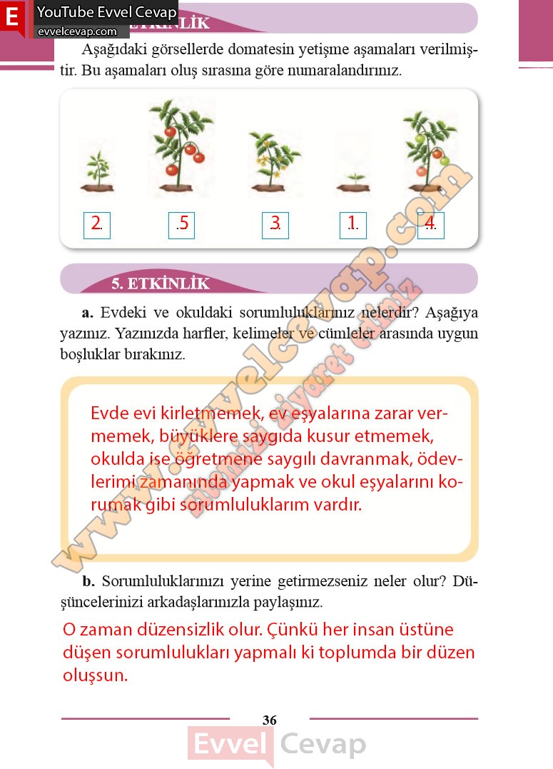 2-sinif-turkce-ders-kitabi-cevabi-bilim-ve-kultur-yayinlari-sayfa-36