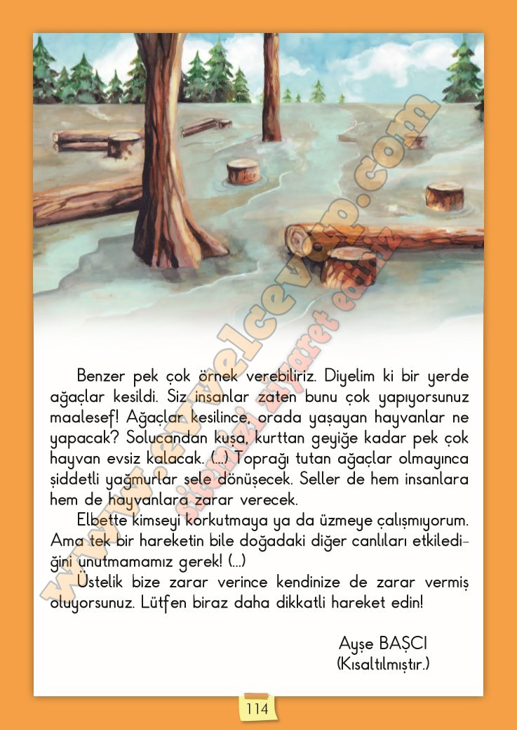 2-sinif-turkce-ders-kitabi-cevabi-meb-yayinlari-sayfa-114