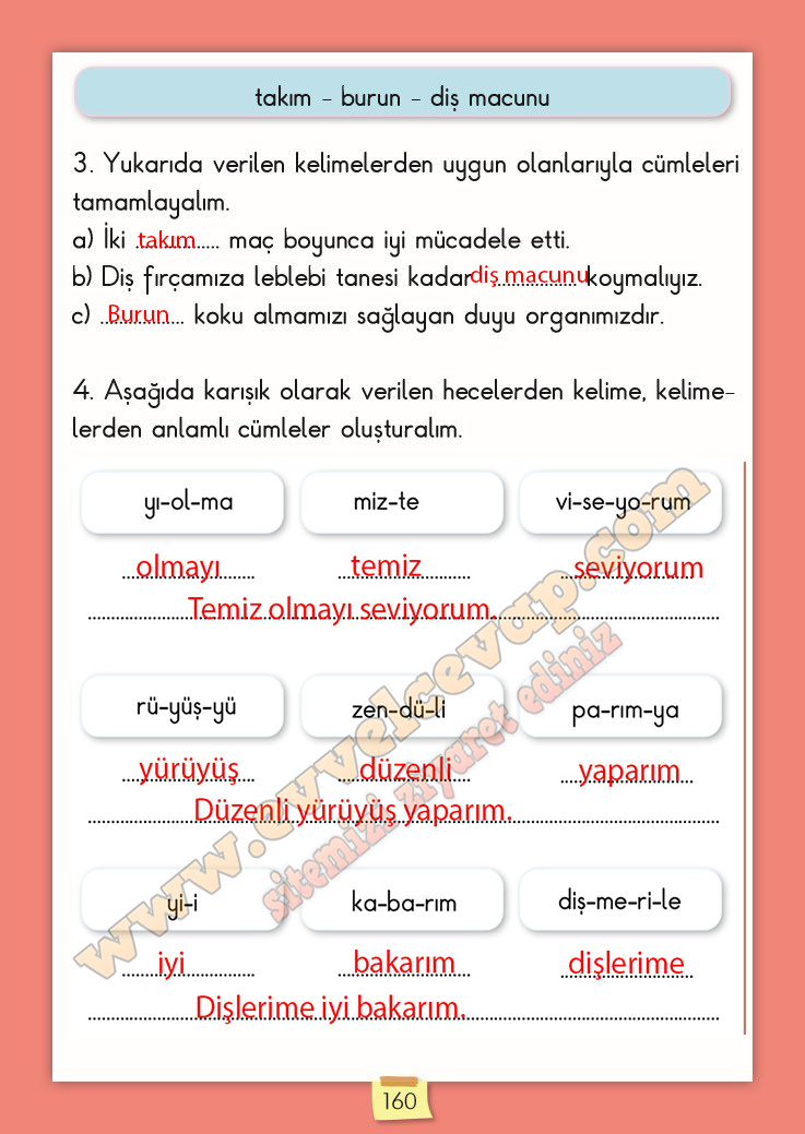 2-sinif-turkce-ders-kitabi-cevabi-meb-yayinlari-sayfa-160