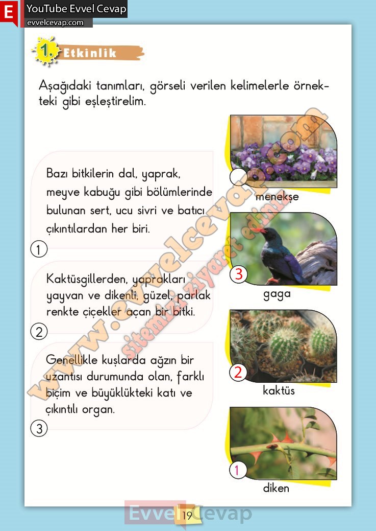 2-sinif-turkce-ders-kitabi-cevabi-meb-yayinlari-sayfa-19