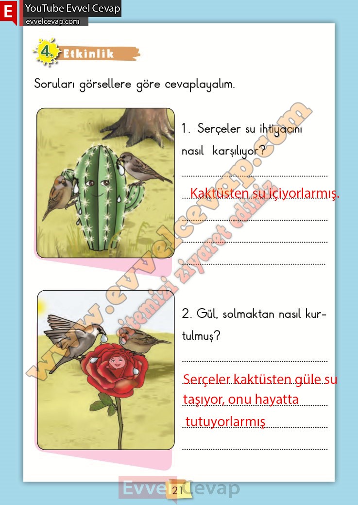 2-sinif-turkce-ders-kitabi-cevabi-meb-yayinlari-sayfa-21