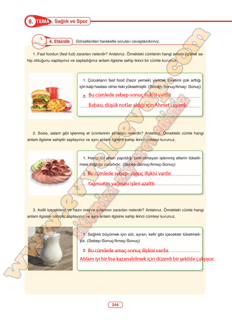 6-sinif-turkce-ders-kitabi-cevabi-anka-yayinlari-sayfa-244