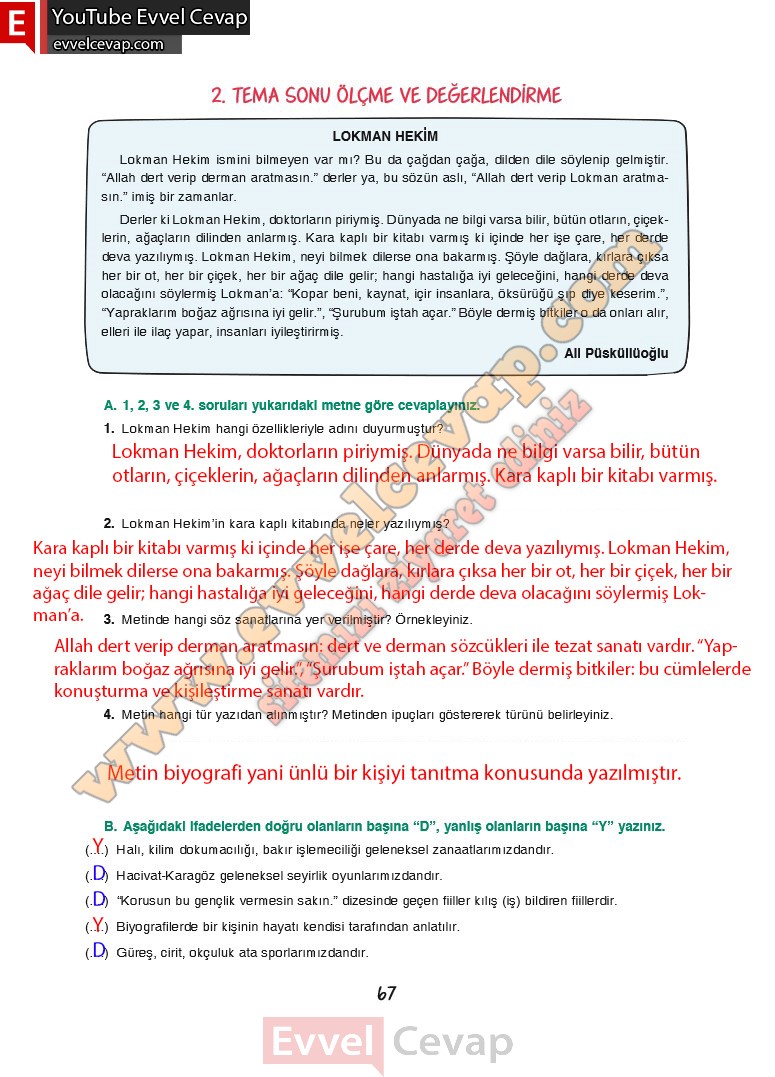 7-sinif-turkce-ders-kitabi-cevabi-dortel-yayinlari-sayfa-67