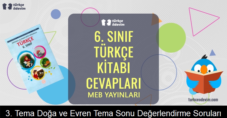 3. Tema Doğa ve Evren Tema Sonu Değerlendirme Soruları Metni Cevapları (6. Sınıf Türkçe)