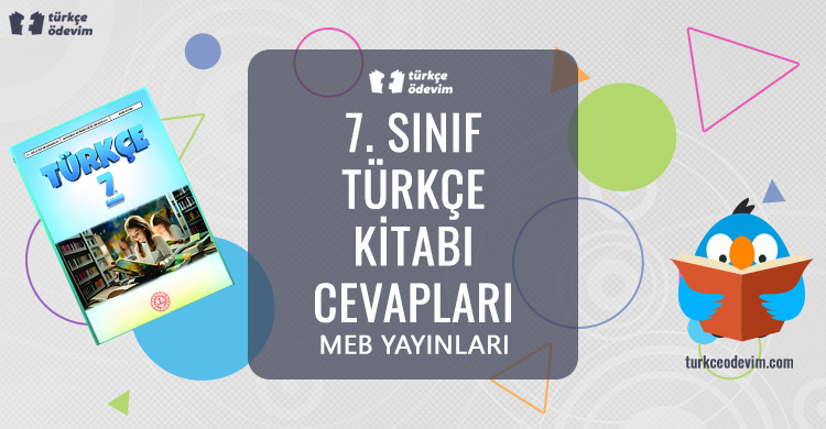 7. Sınıf Türkçe Kitabı Cevapları MEB Yayınları