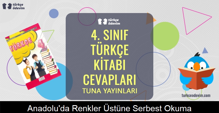 Anadolu’da Renkler Üstüne Serbest Okuma Metni Cevapları (4. Sınıf Türkçe)