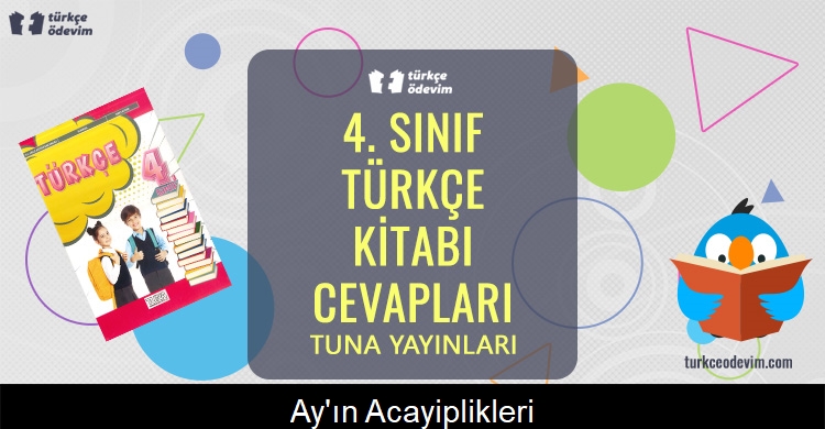 Ay’ın Acayiplikleri Metni Cevapları (4. Sınıf Türkçe)